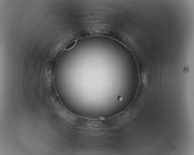 X0000112410915200908211118