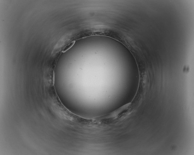 X0000112410916200908211118