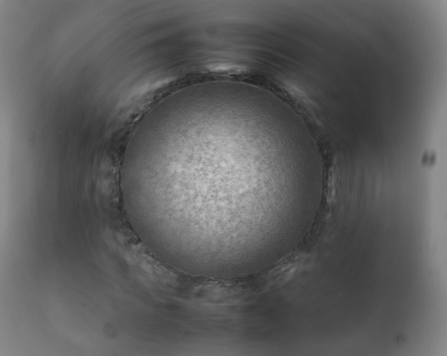 X0000112410917200908211118
