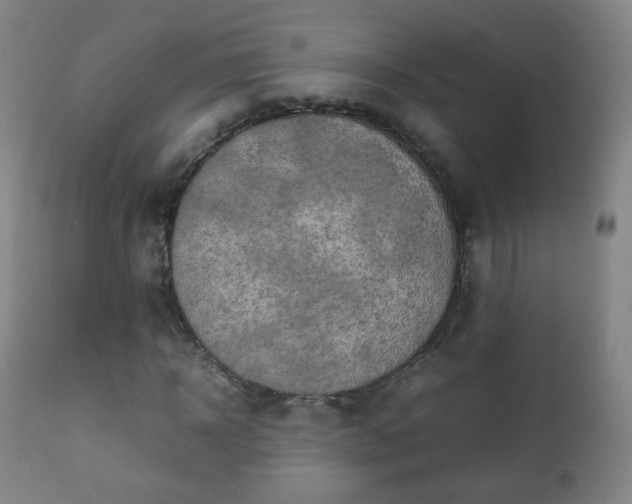 X0000112410918200908211118