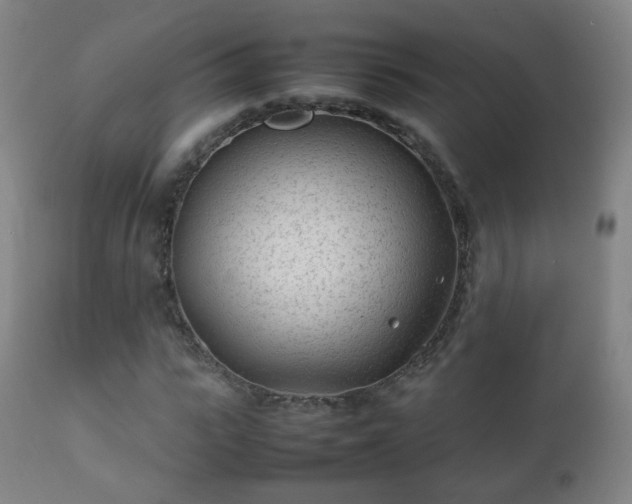 X0000112410919200908211118