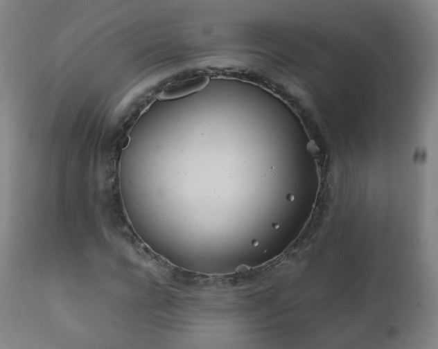X0000112410920200908211118