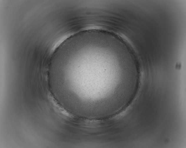 X0000112410921200908211118