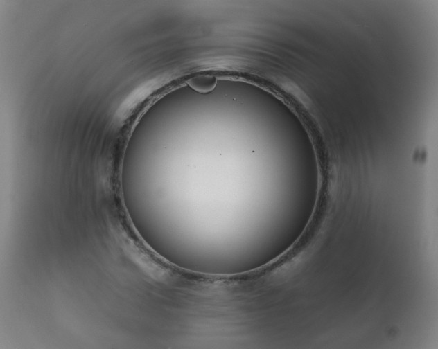 X0000112410922200908211118