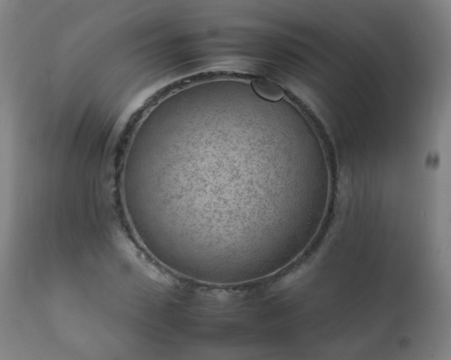 X0000112410923200908211118