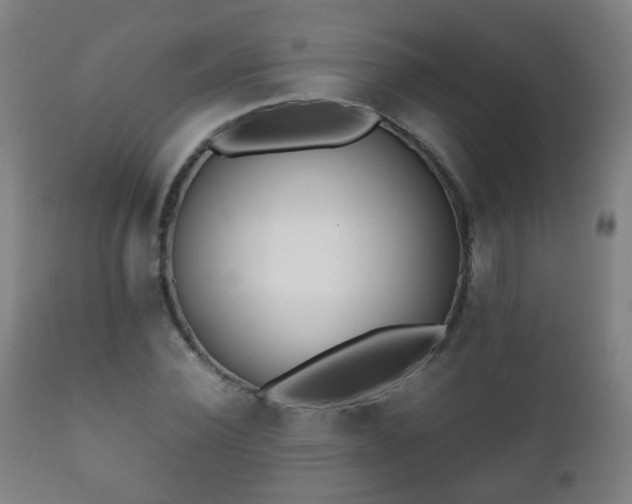 X0000112410924200908211118