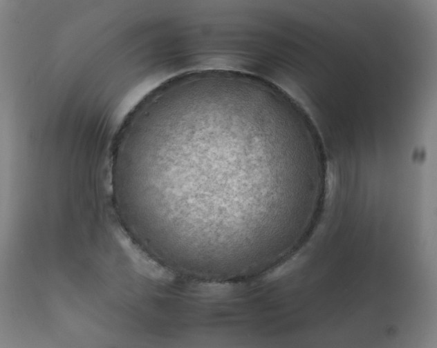 X0000112410925200908211118