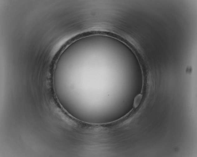 X0000112410926200908211118