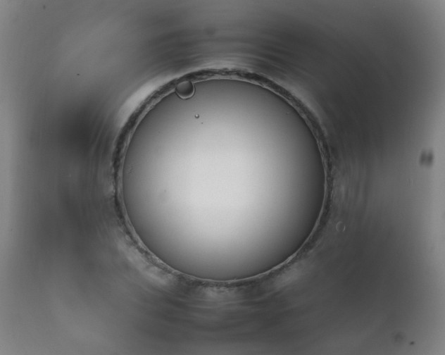 X0000112410927200908211119