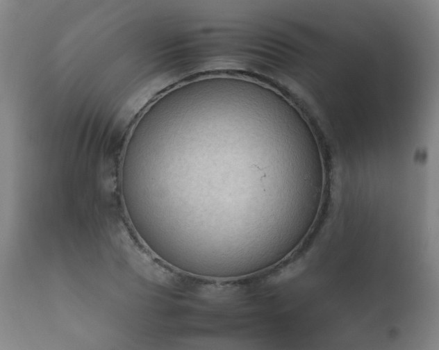 X0000112410929200908211119