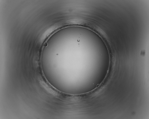 X0000112410930200908211119