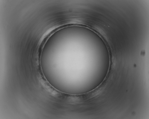X0000112410931200908211119