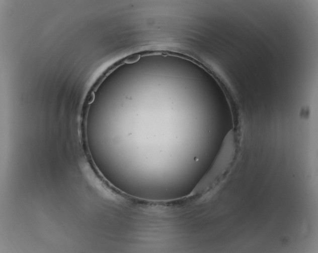 X0000112410932200908211119