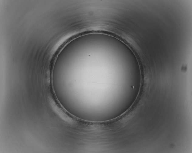 X0000112410934200908211119