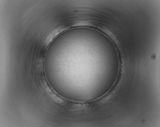 X0000112410937200908211119