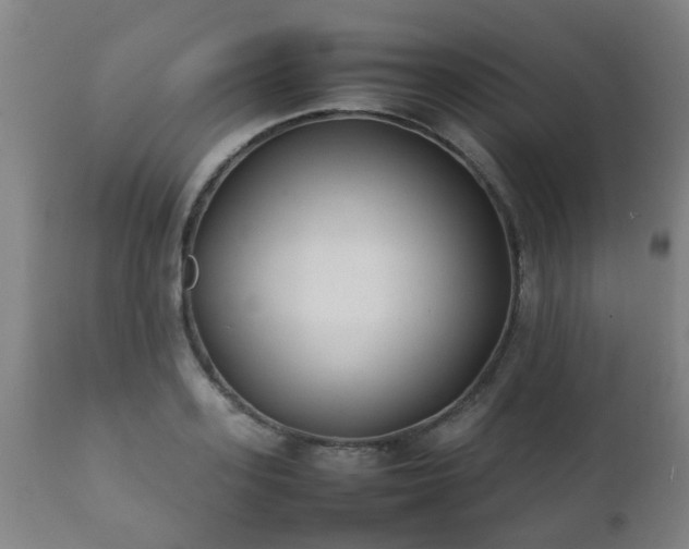 X0000112410939200908211119