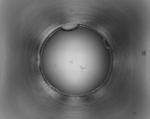 X0000112410940200908211119