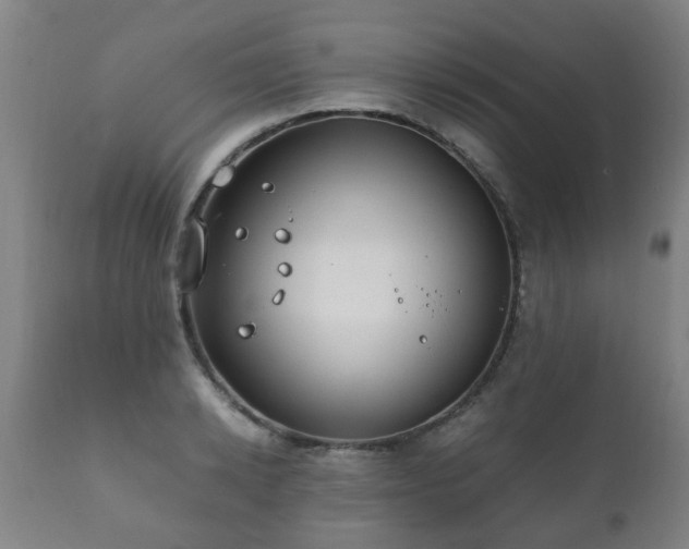 X0000112410942200908211119