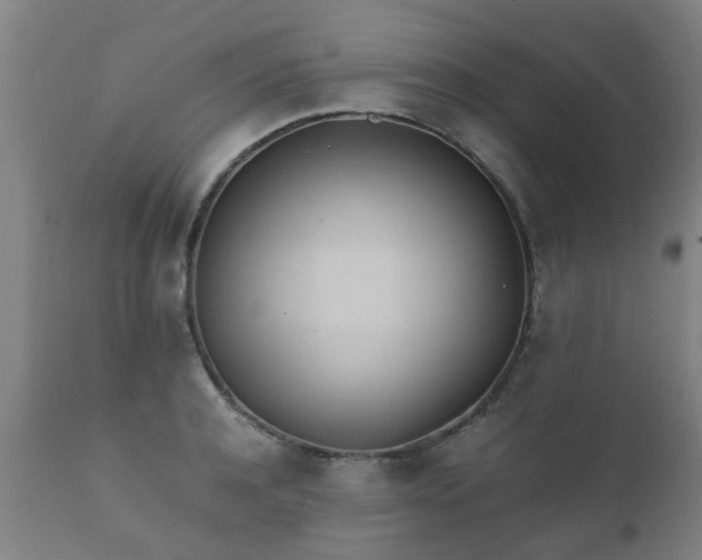 X0000112410944200908211119