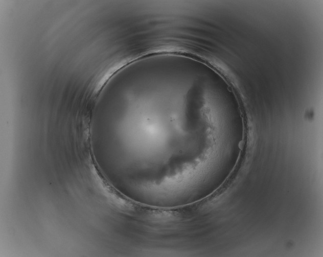 X0000112410945200908211119