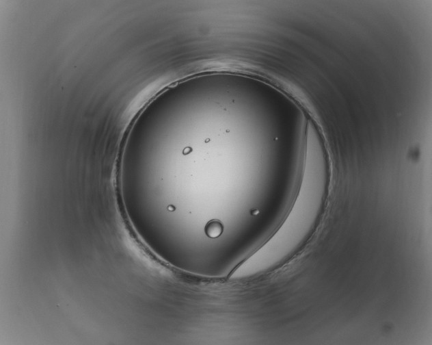 X0000112410946200908211119
