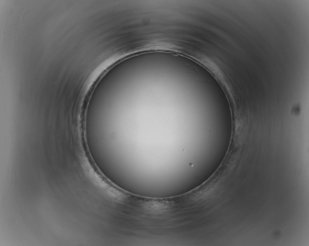 X0000112410947200908211119