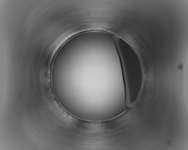 X0000112410948200908211119