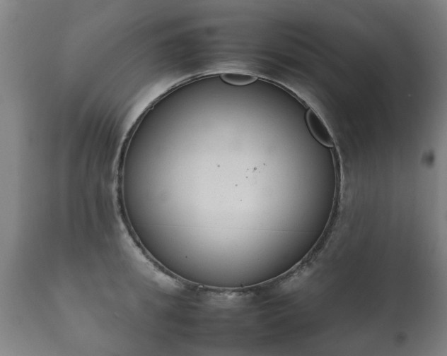 X0000112410949200908211119