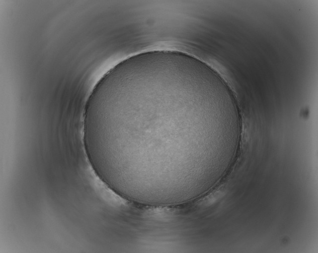 X0000112410950200908211119