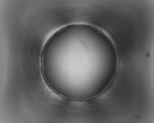 X0000112410951200908211119