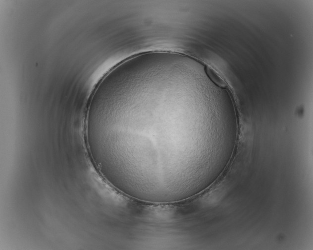 X0000112410952200908211119