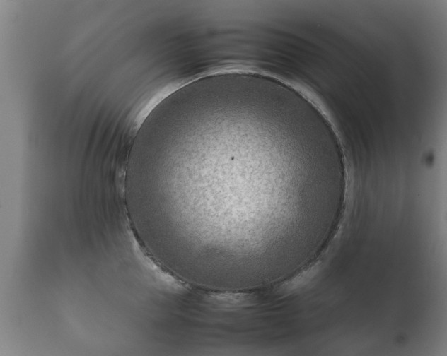 X0000112410953200908211119