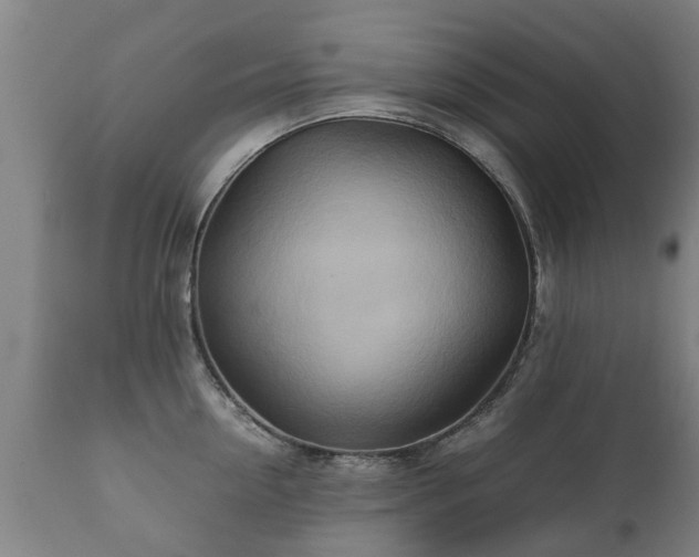 X0000112410954200908211119