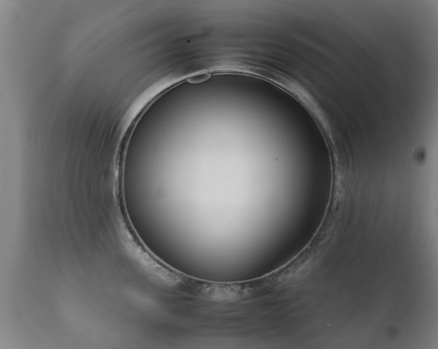 X0000112410955200908211119