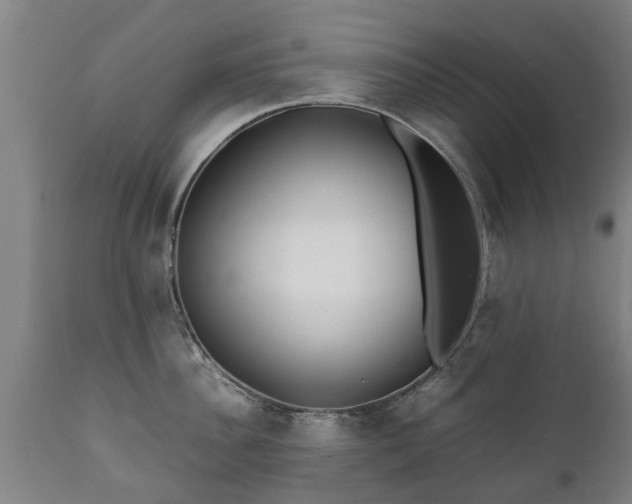 X0000112410956200908211119
