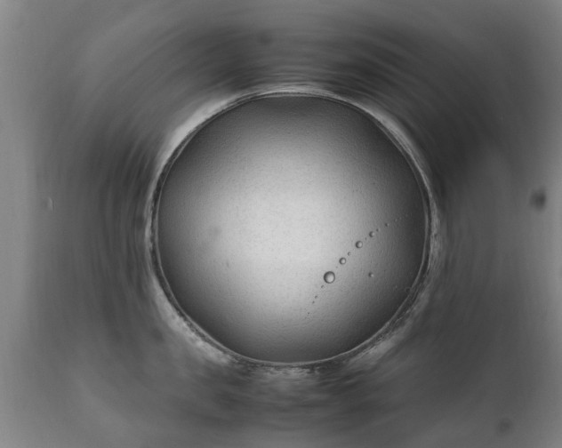 X0000112410957200908211119