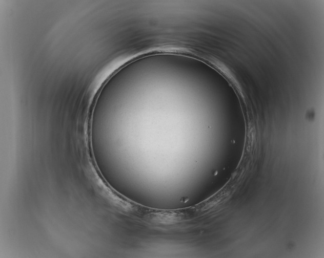 X0000112410959200908211119