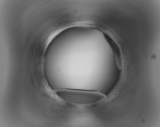 X0000112410960200908211119