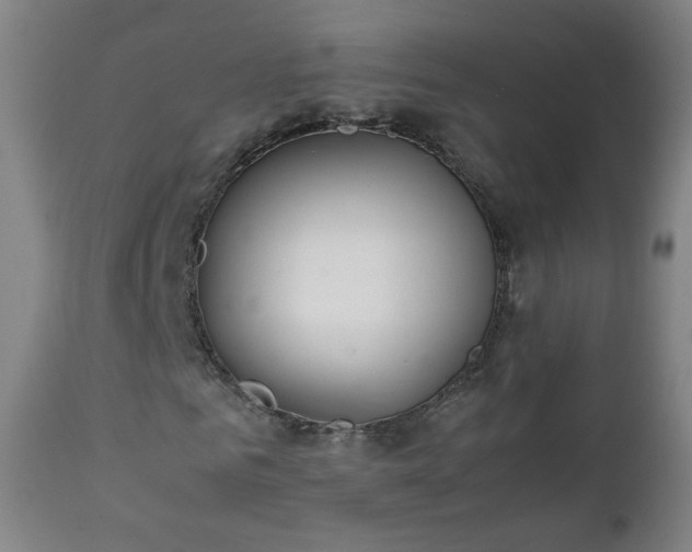 X0000112410961200908211118