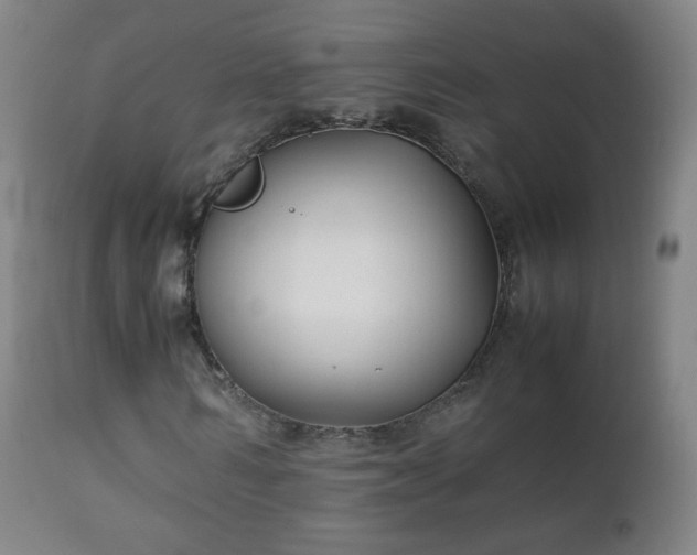 X0000112410962200908211118