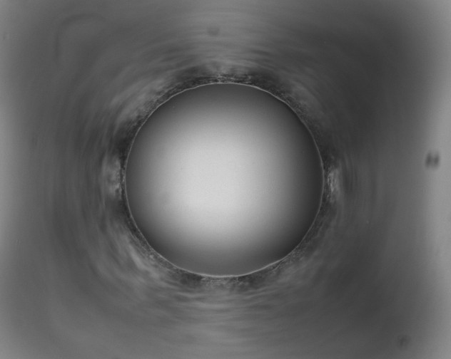 X0000112410963200908211118