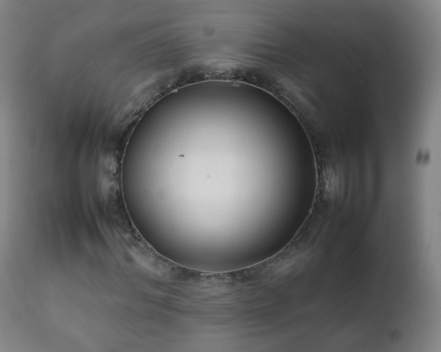 X0000112410964200908211118