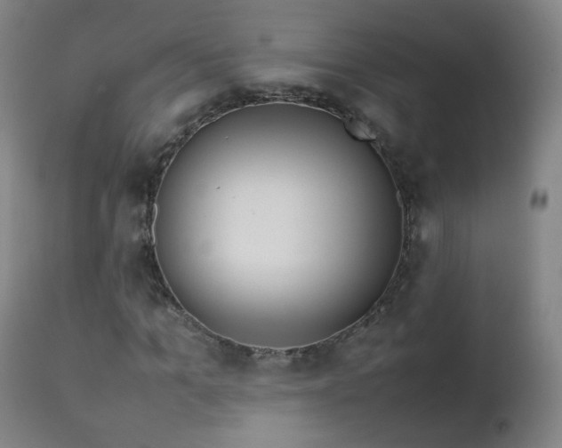 X0000112410965200908211118
