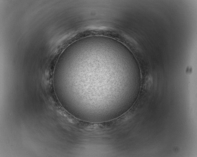 X0000112410966200908211118