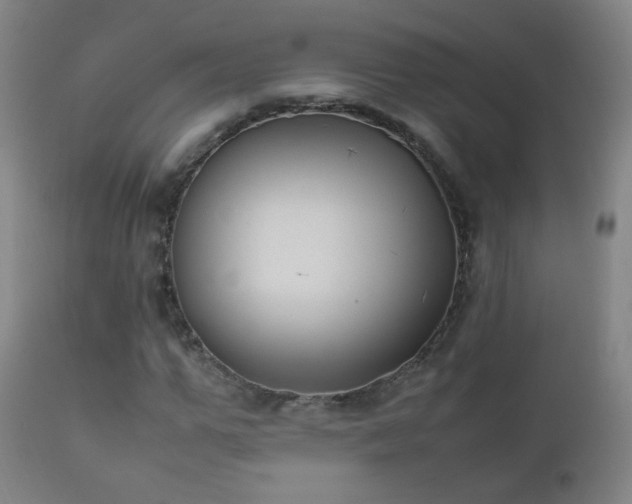 X0000112410967200908211118