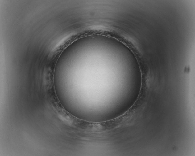 X0000112410968200908211118