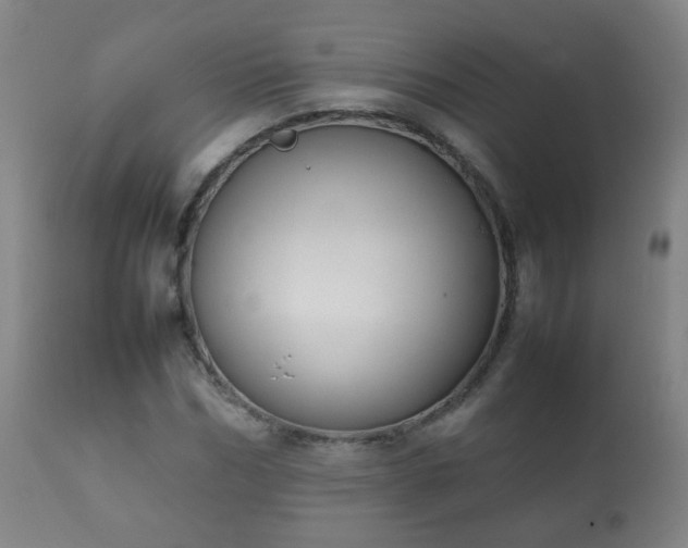 X0000112410970200908211118