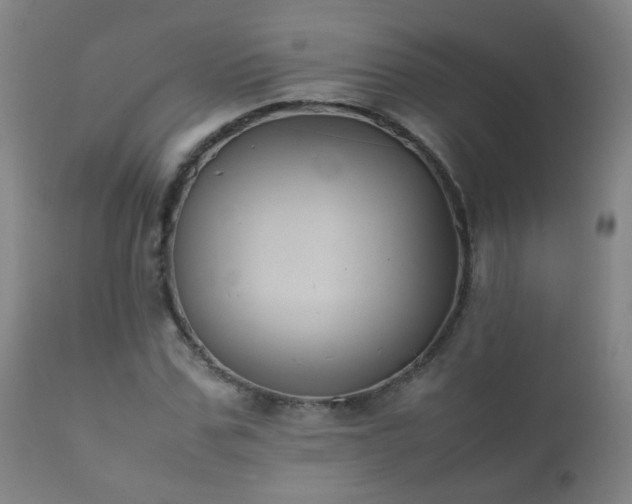 X0000112410971200908211118