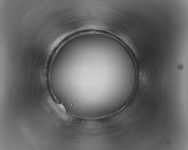 X0000112410972200908211118