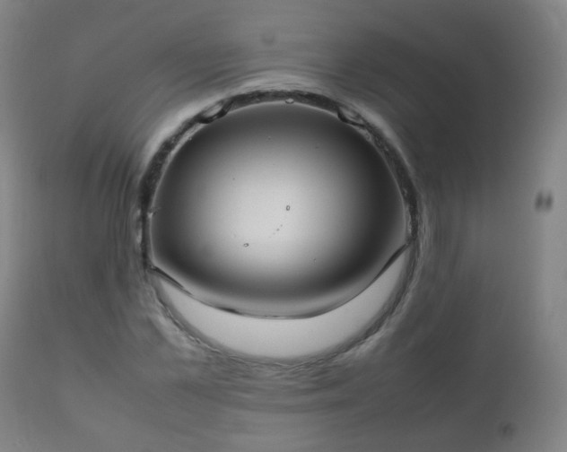 X0000112410973200908211118